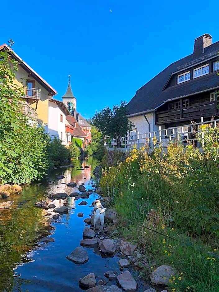 Schwarzwaldhaus Angelhof