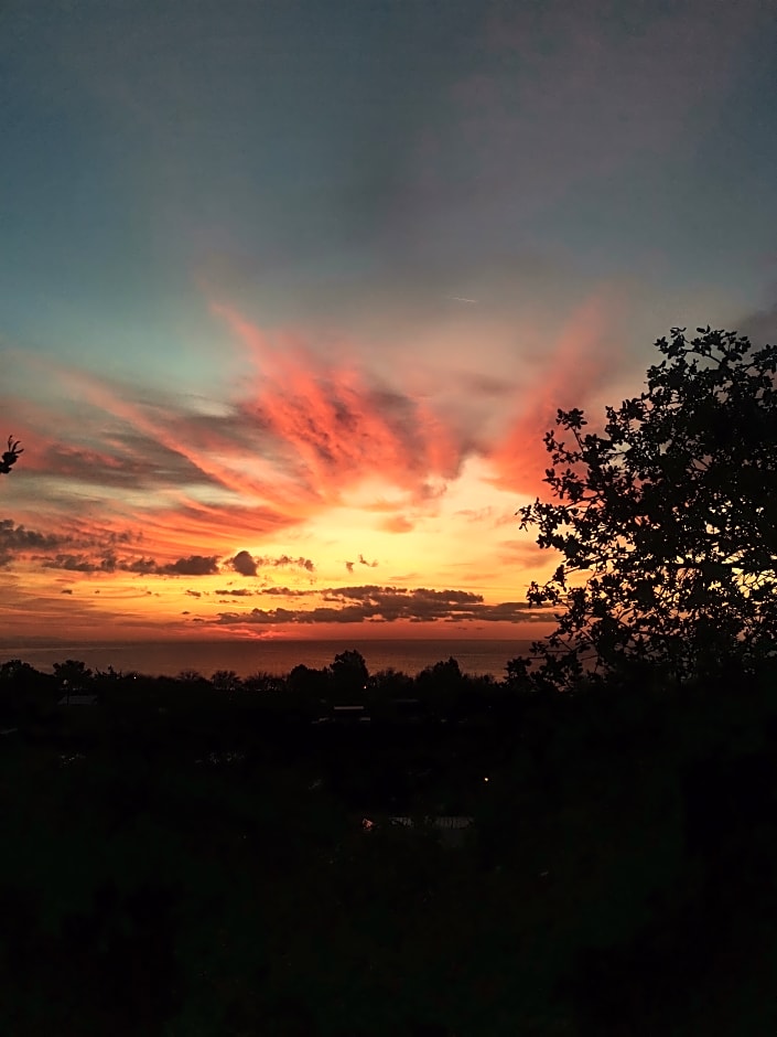Village Garden Pansiyon
