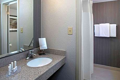 One-Bedroom King Suite - Mobility/Hearing Accessible