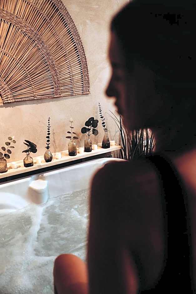 Le Château d'Argens