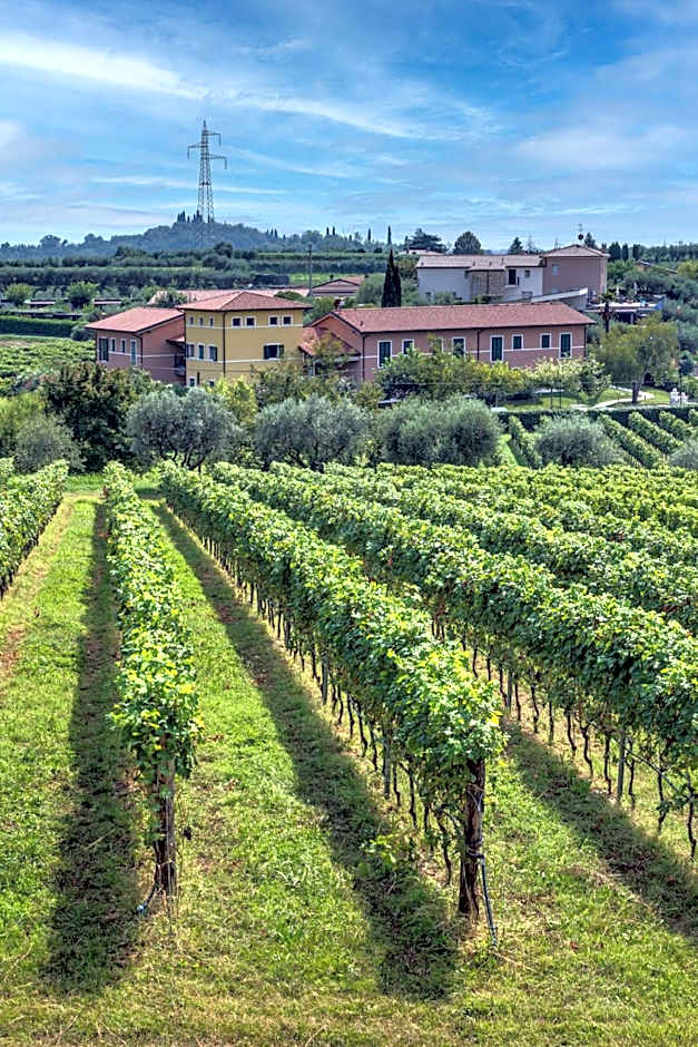 Tenuta di Palú