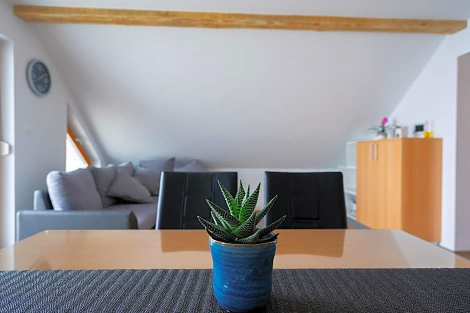 PJagodic Apartments & Wellness