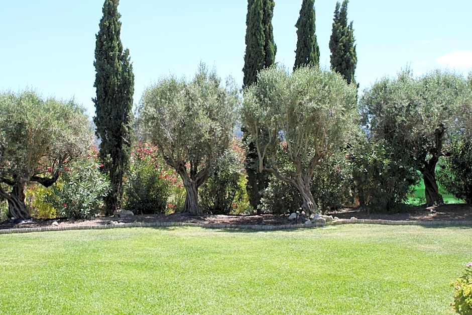 Hotel Boutique Moli El Canyisset