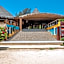 Royal Horizon Baobab