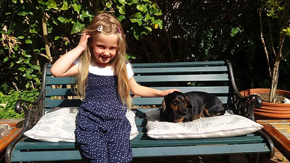 Bayside Lodge Garden Route B&B