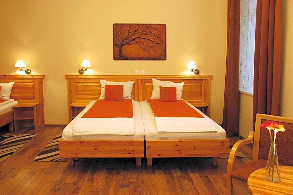 Hotel Manzard Panzio