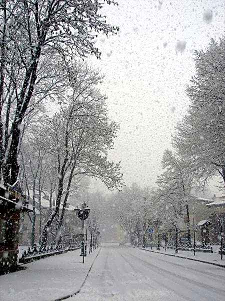 Albergo Pensione Paola