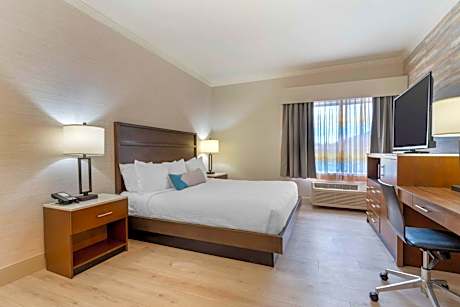 King Suite with Sofa Bed