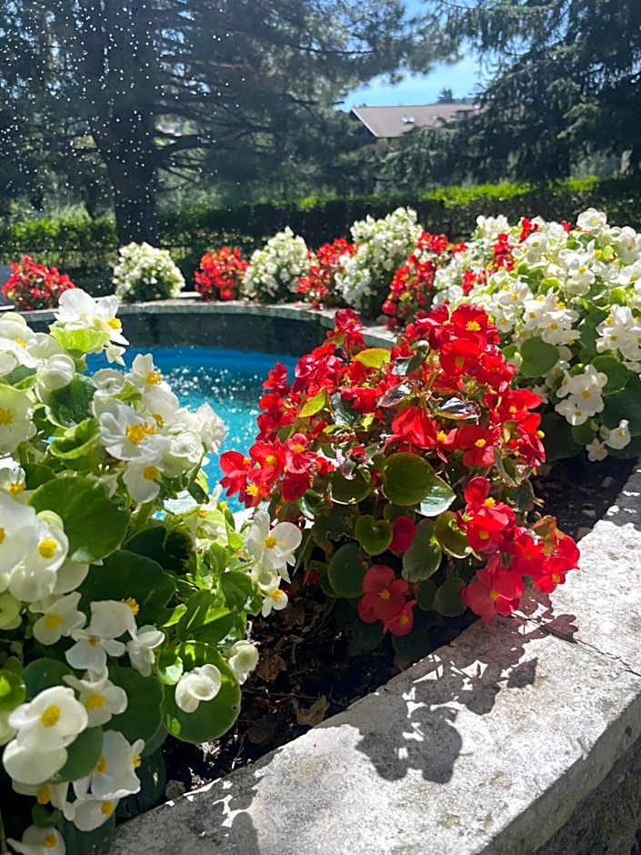 Hotel Rech-Hof Sayonara