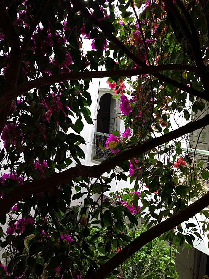 Riad Timila