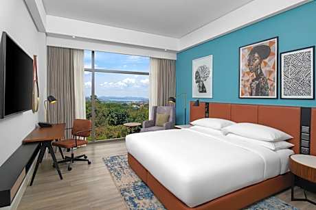 Standard King Room with City View