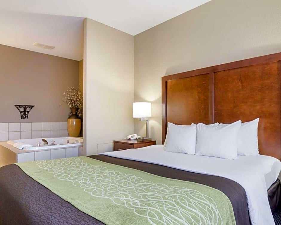 Comfort Inn Garden City