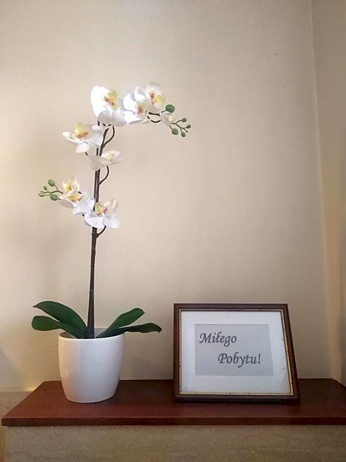 American House Hennela