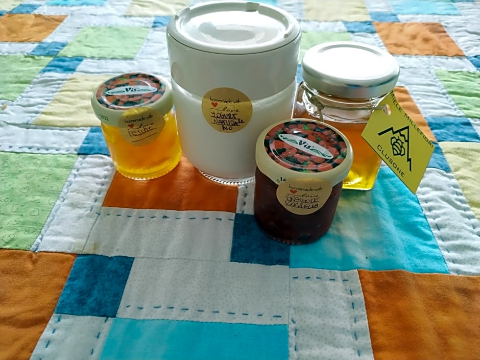 Mountain Holidays B&B