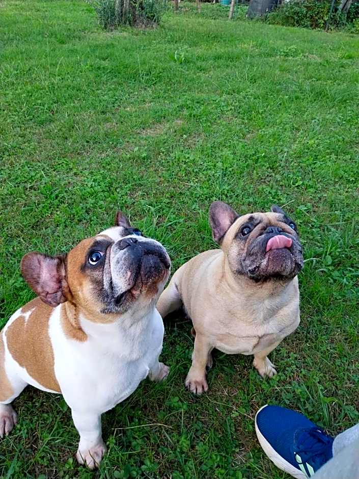 La Casa Gialla A MONTIGNOSO