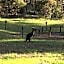 Hunter Valley Retreat