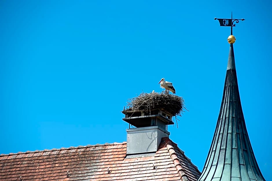 Boutique - Hotel Zum Schloss