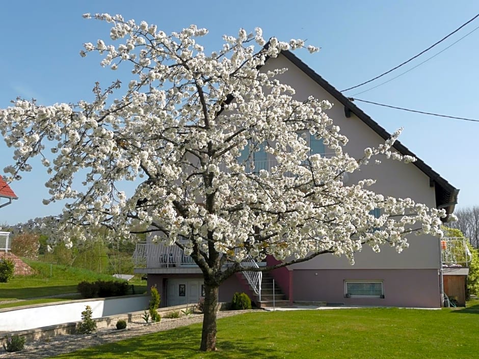 Chez Anny et Jean Au Mittelbuehl-Reichshoffen