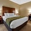 Comfort Inn & Suites Pittsburgh