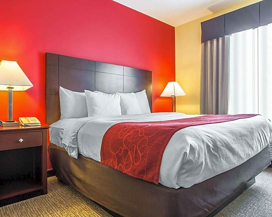 Comfort Suites Rock Hill Manchester Meadows Area
