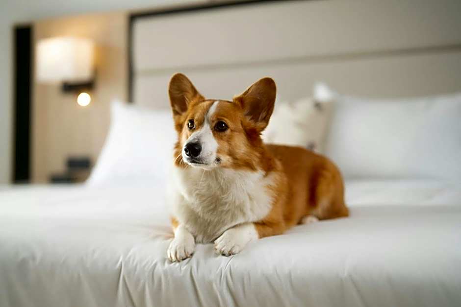 Mont Gabriel, Sainte-Adele, a Tribute Portfolio Resort