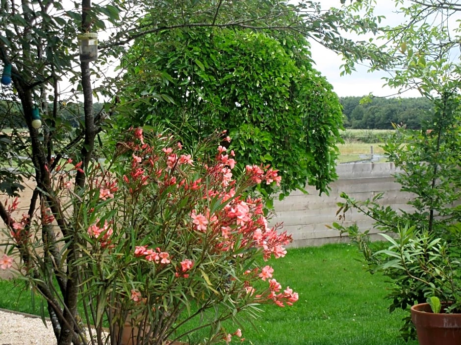 Relais de Chasse la Chaignaie