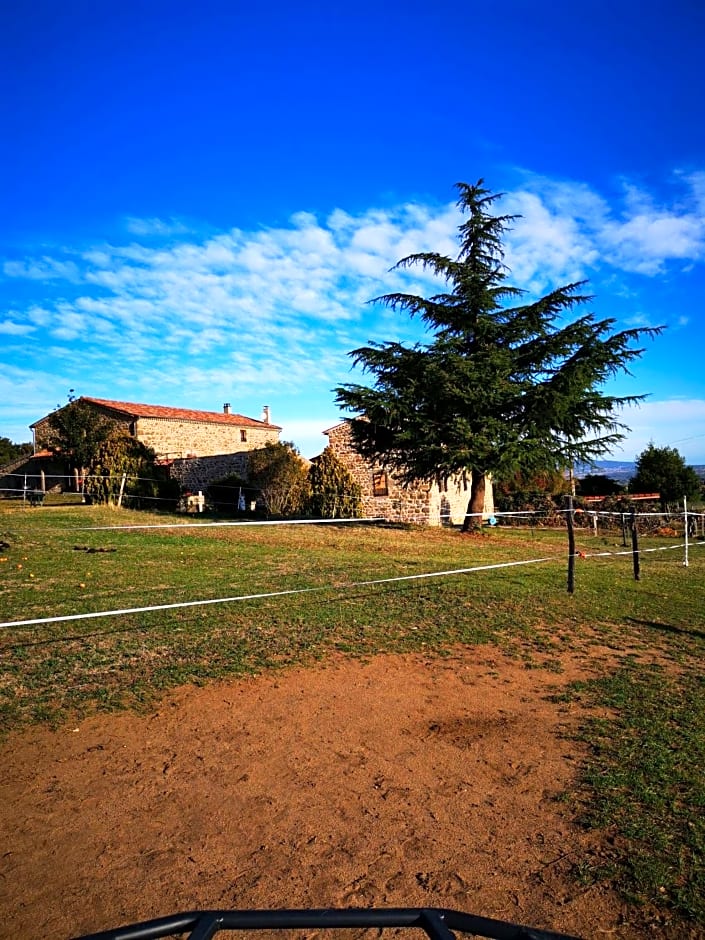 Ferme de la Combe - The Goldy's Farm