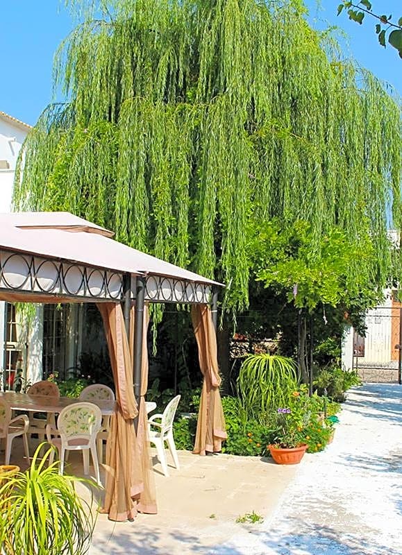 B&B IreneMarchese Gluten Free