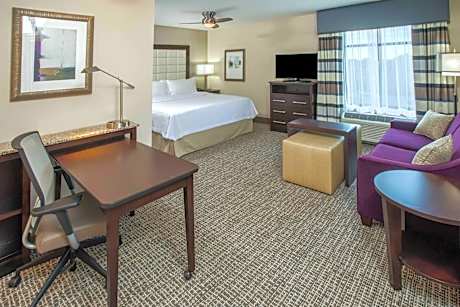 1 King Bed Studio Suite Nonsmoking