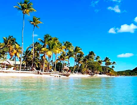 Sud Madinina - Sainte Anne