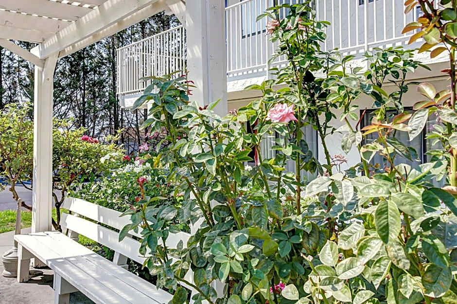 Motel 6-Grants Pass, OR