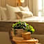 1 Hotel Seattle