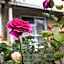 Rose Court Motel