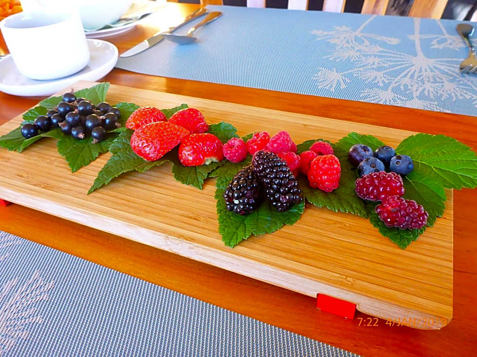 Fran and Frankie's Bed & Breakfast