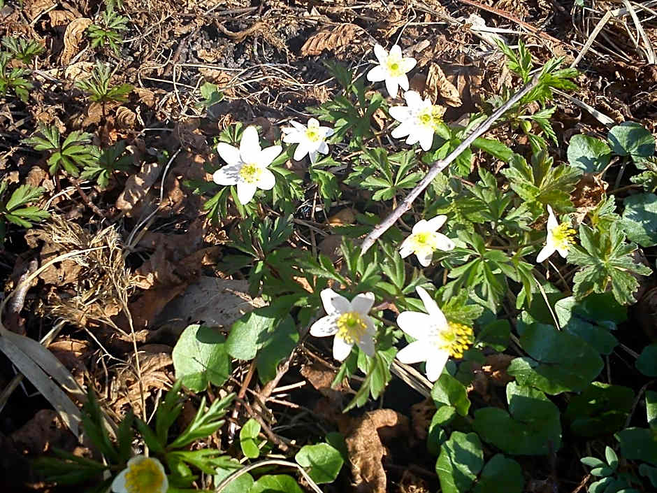 Hvilan V-hem Norrtälje AB