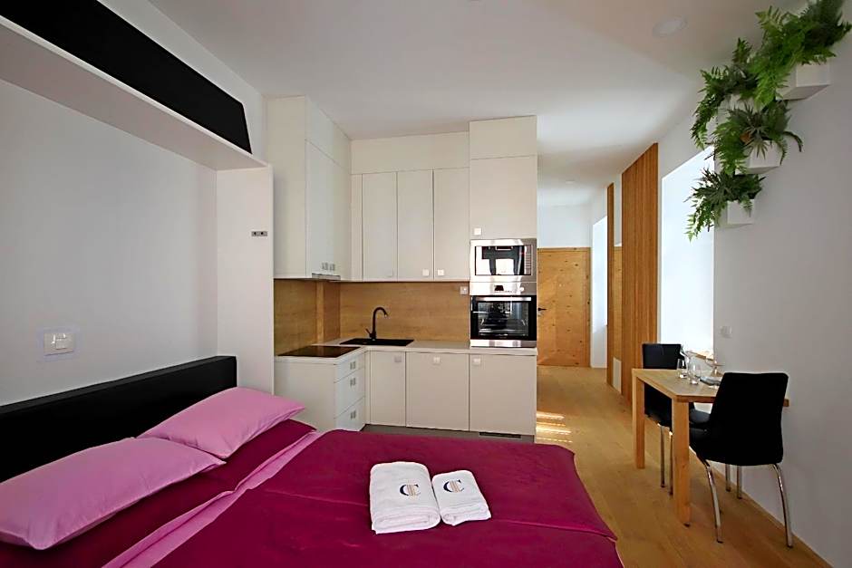 Photo 1 of 8 of Studio Apartment