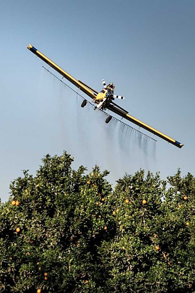 Letaba Junction Lodge