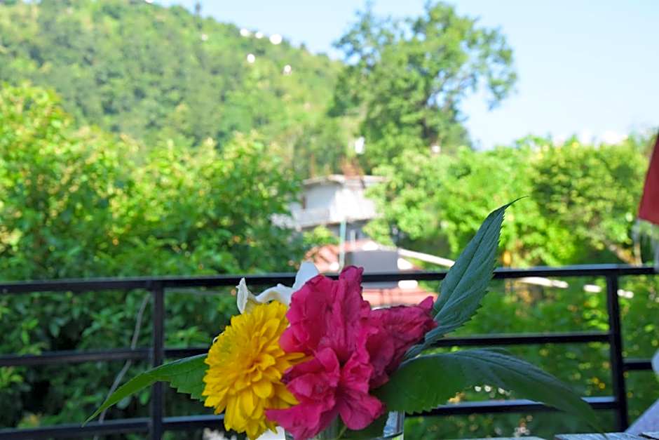 Siddhartha Garden Ayurveda
