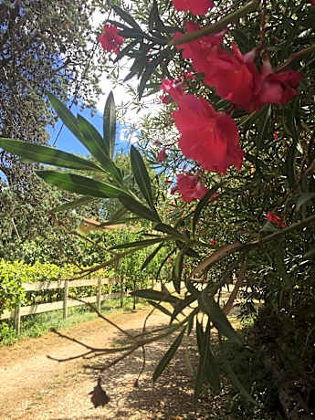 Superior Double Room (2 Adults + 2 Childs)