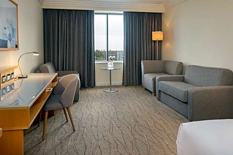 King Room with two single sofa beds