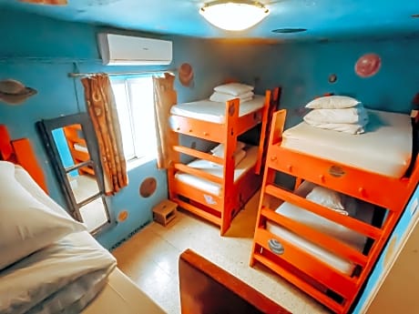 Bed in 6-Bed Mixed Dormitory Room