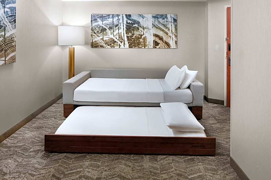 SpringHill Suites by Marriott Virginia Beach Oceanfront