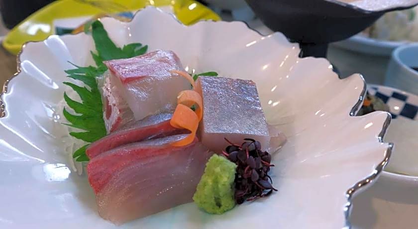 Hotel Takeshi Sanso
