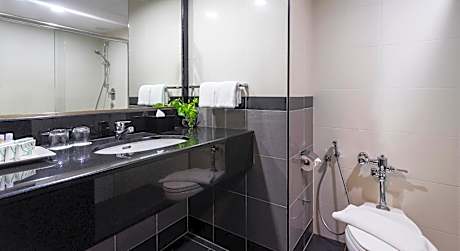 Superior Double or Twin Room with City View