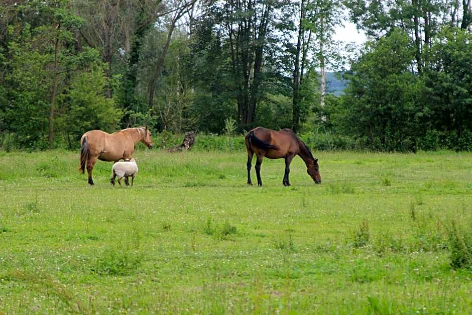 Les Aires en Scènes au bord de l'eau