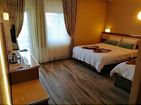 Deluxe Double or Twin Room