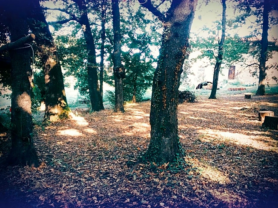 Cascina Bucolica – Alpignano, NY