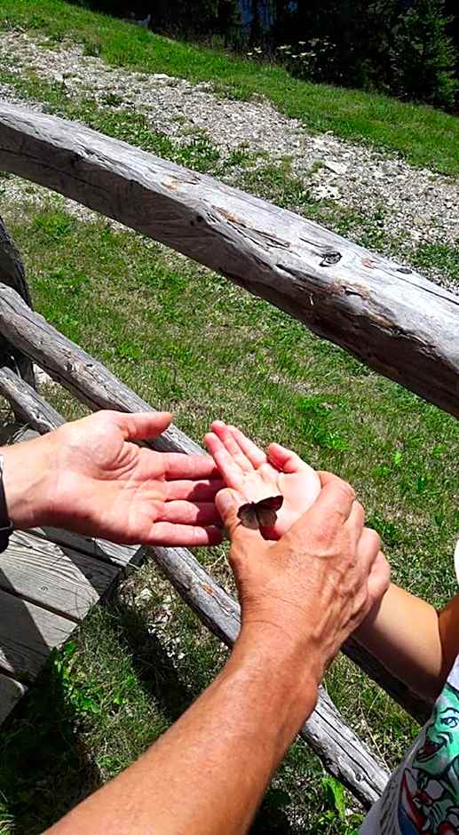 Family Hotel Gran Baita