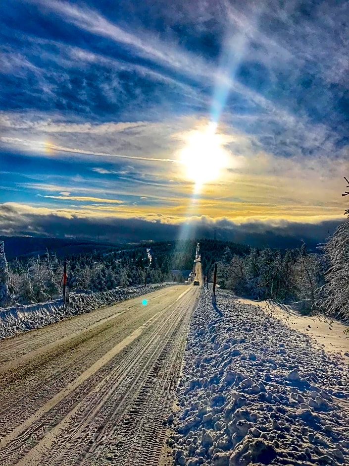 Alpina Lodge Hotel Oberwiesenthal