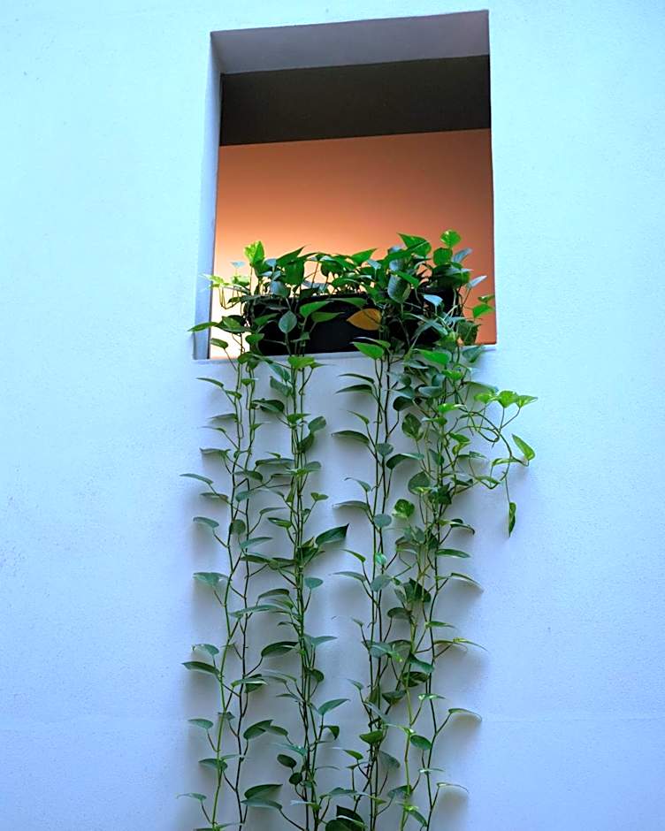 Hotel Ramblas Internacional